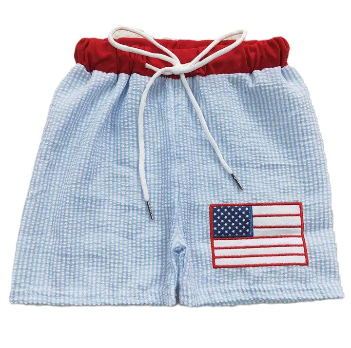 Baby/Toddler Boys 4th of July American Flag Patch Swim Trunks